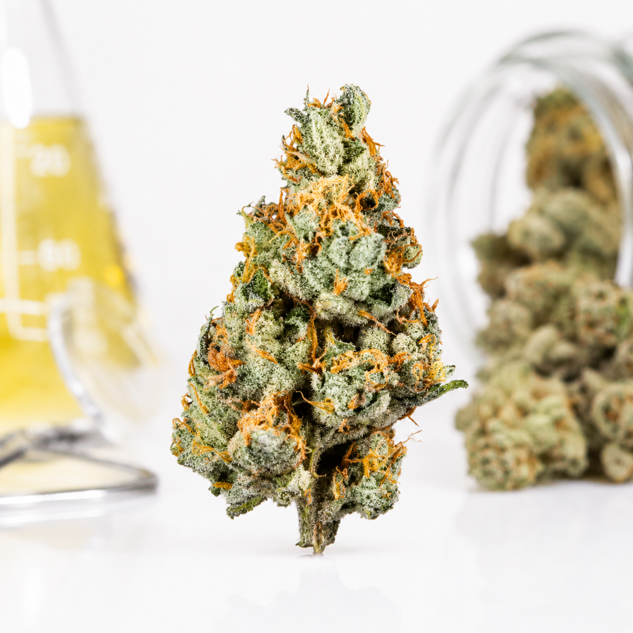 Slouu 22/1 AGM CA CDW Chem Dawg