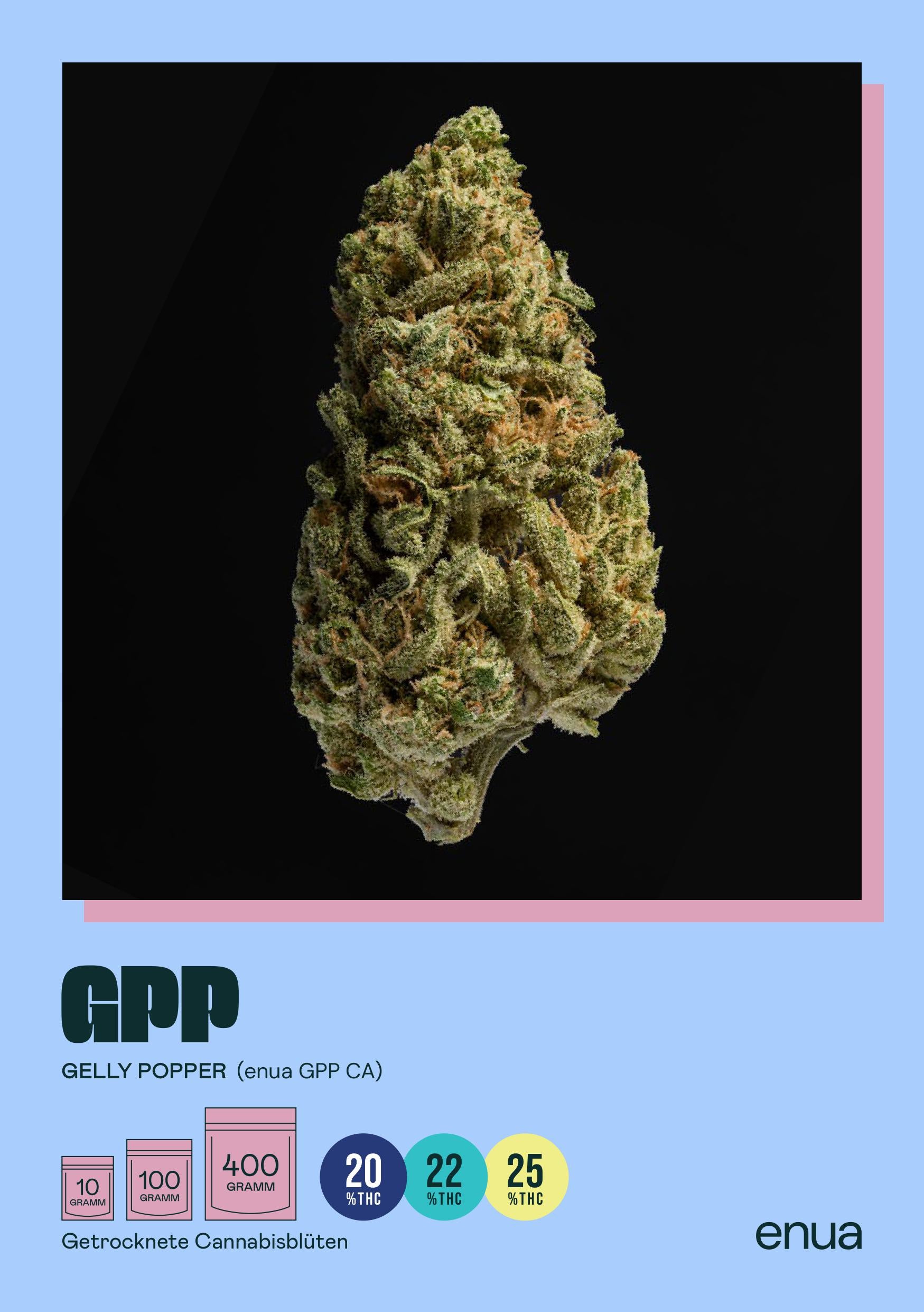 enua 22/1 GPP CA Gelly Popper
