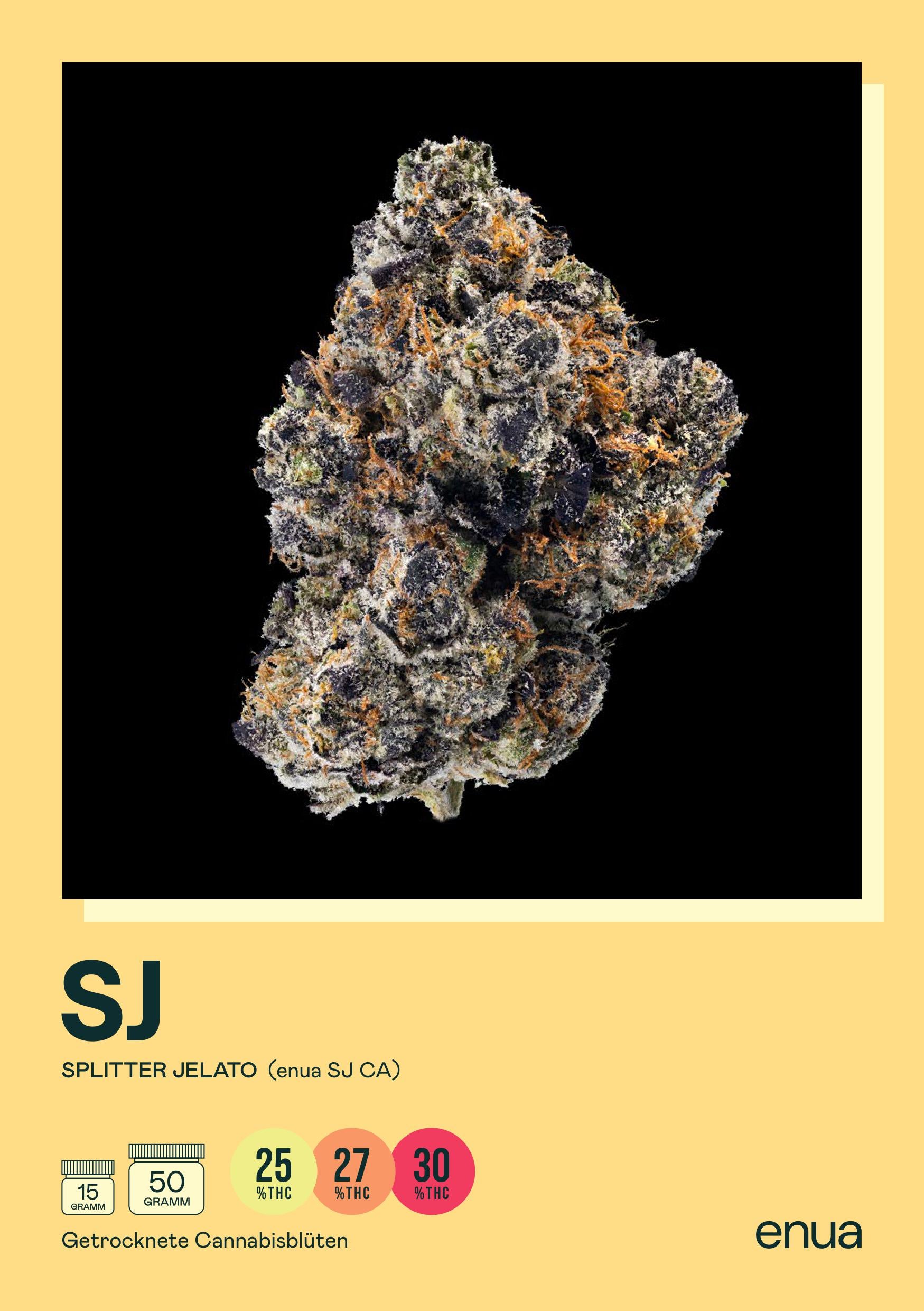 enua 25/1 SJ Splitter Jelato