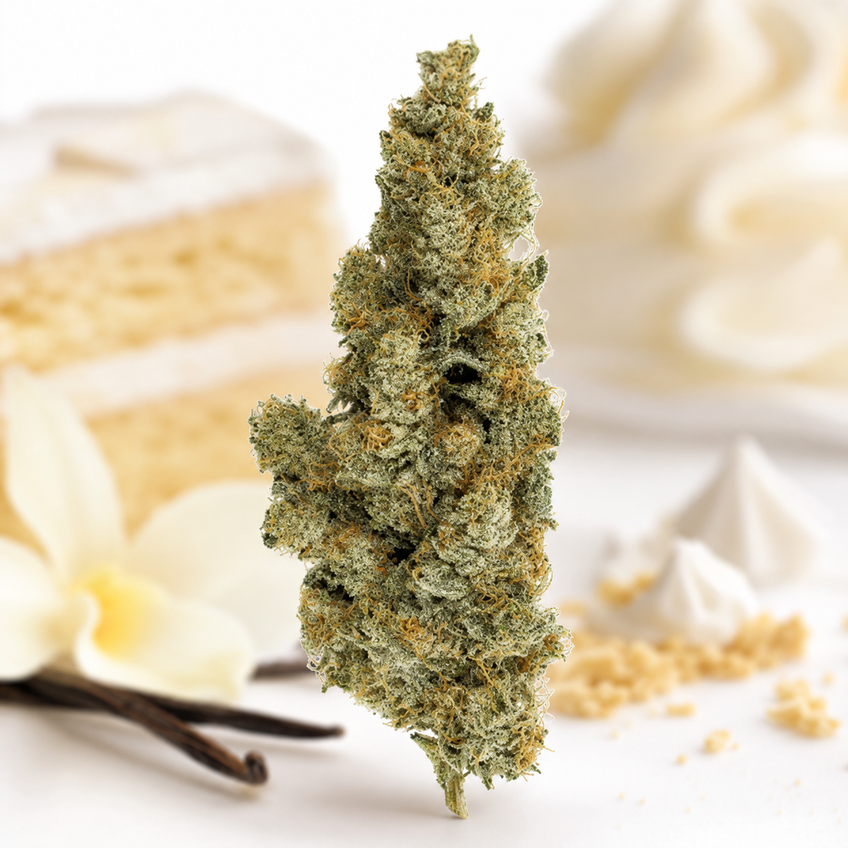420 Evolution 30/1 CA ICC Ice Cream Cake