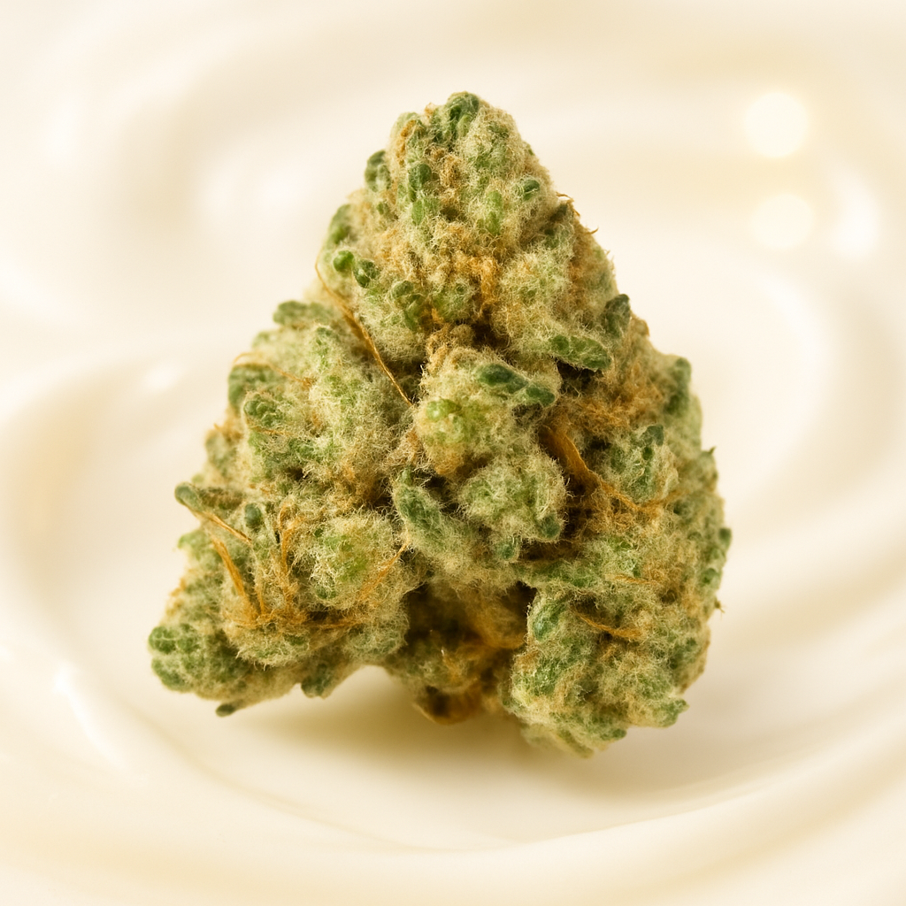 Cannamedical CM 24/1 CRM Creamy Kees