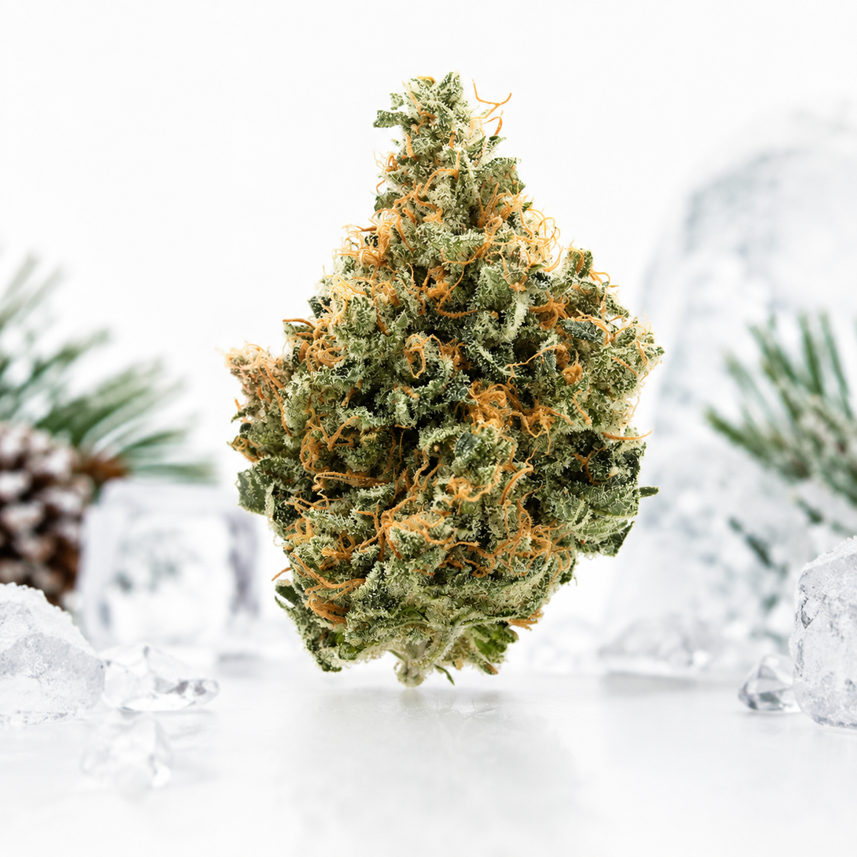 CherryCo THC 25 Sativa Arctic Gorilla