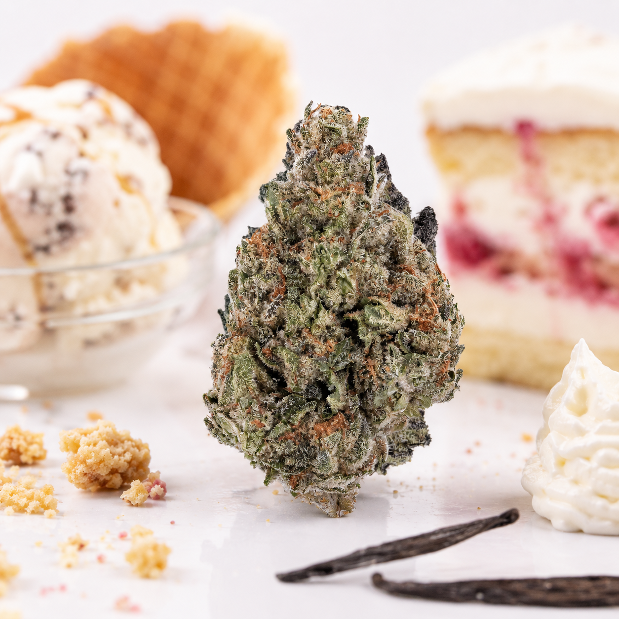 HiDealz 18/1 MS ICC Ice Cream Cake smalls