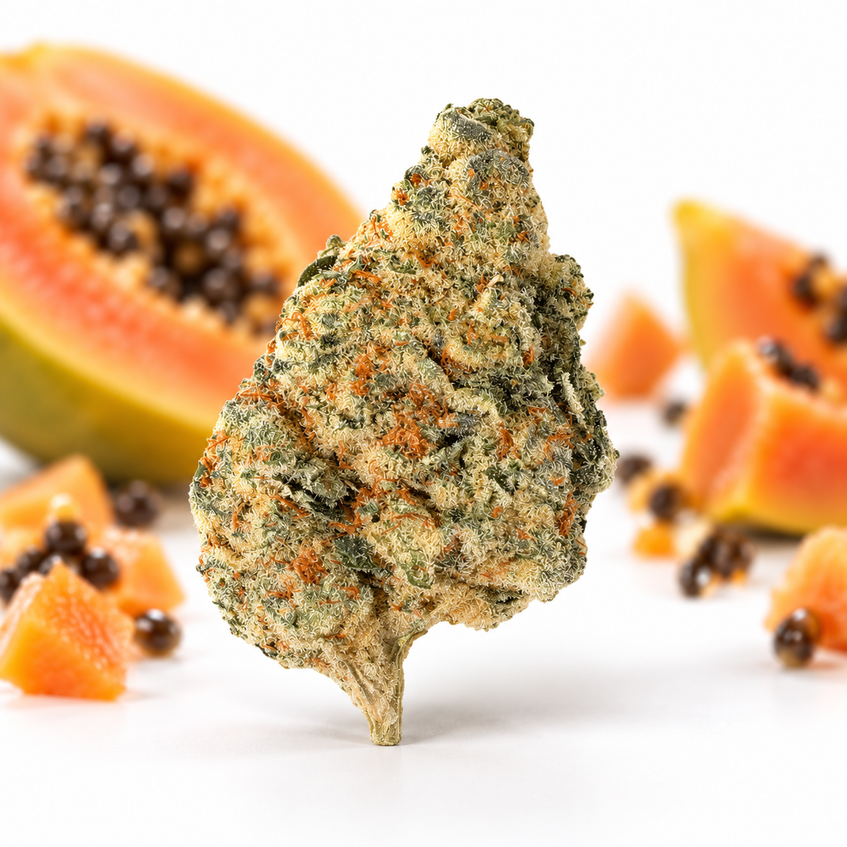 HiDealz 24/1 MS PAB Papaya Bomb smalls