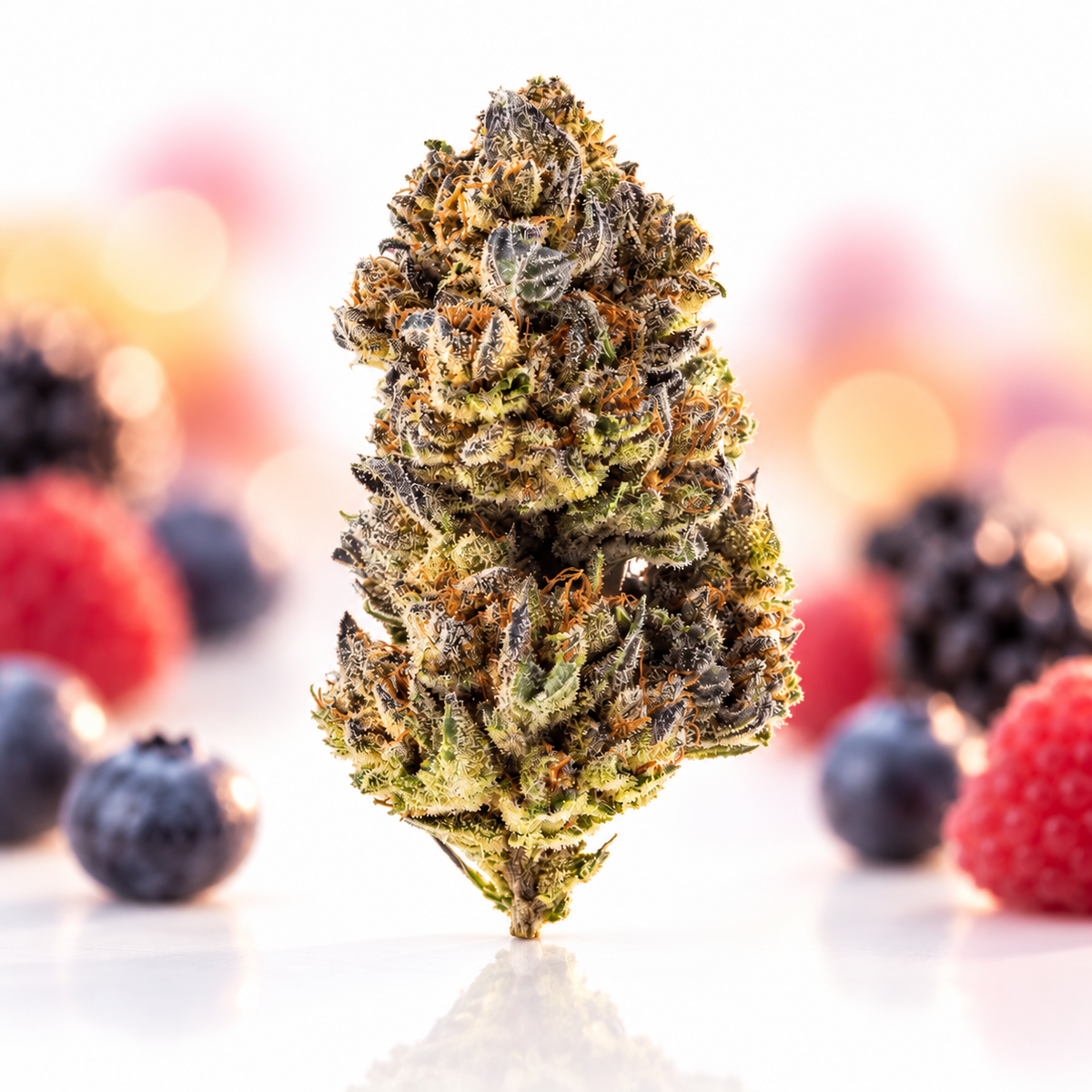 avaay 22/1 SB Sunset Berries