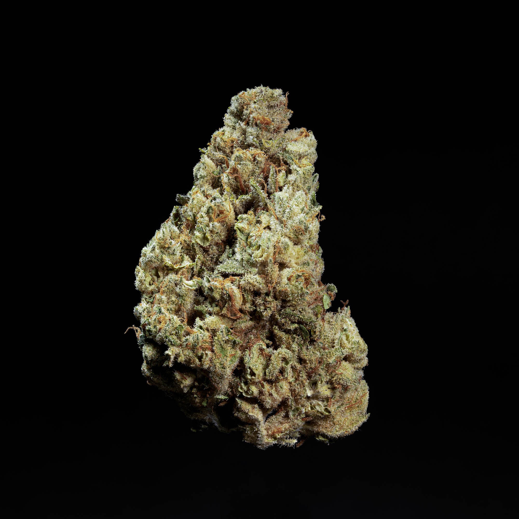 enua 22/1 CCK Cold Creek Kush CA