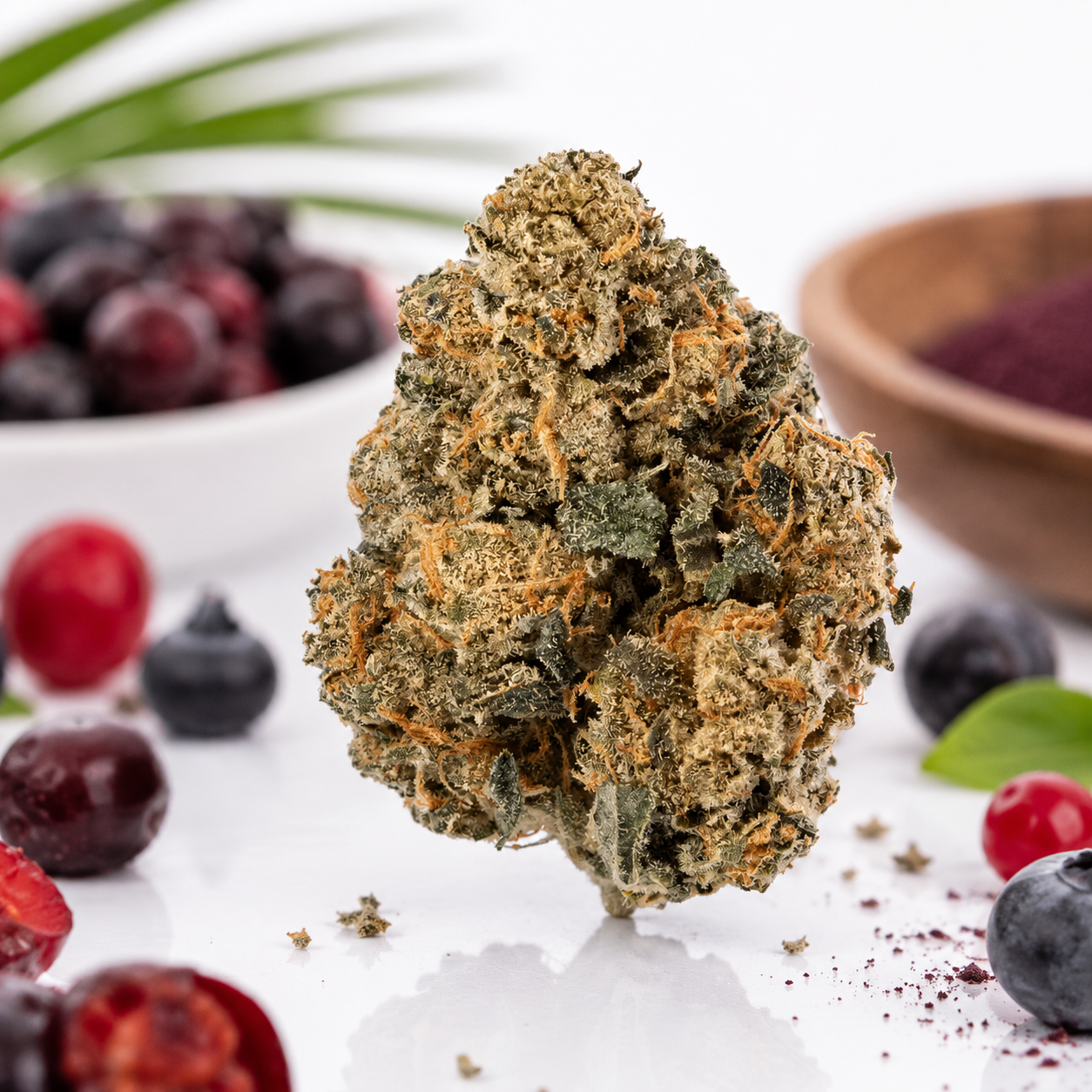Medical Saints 24/1 ACB Acai Berry