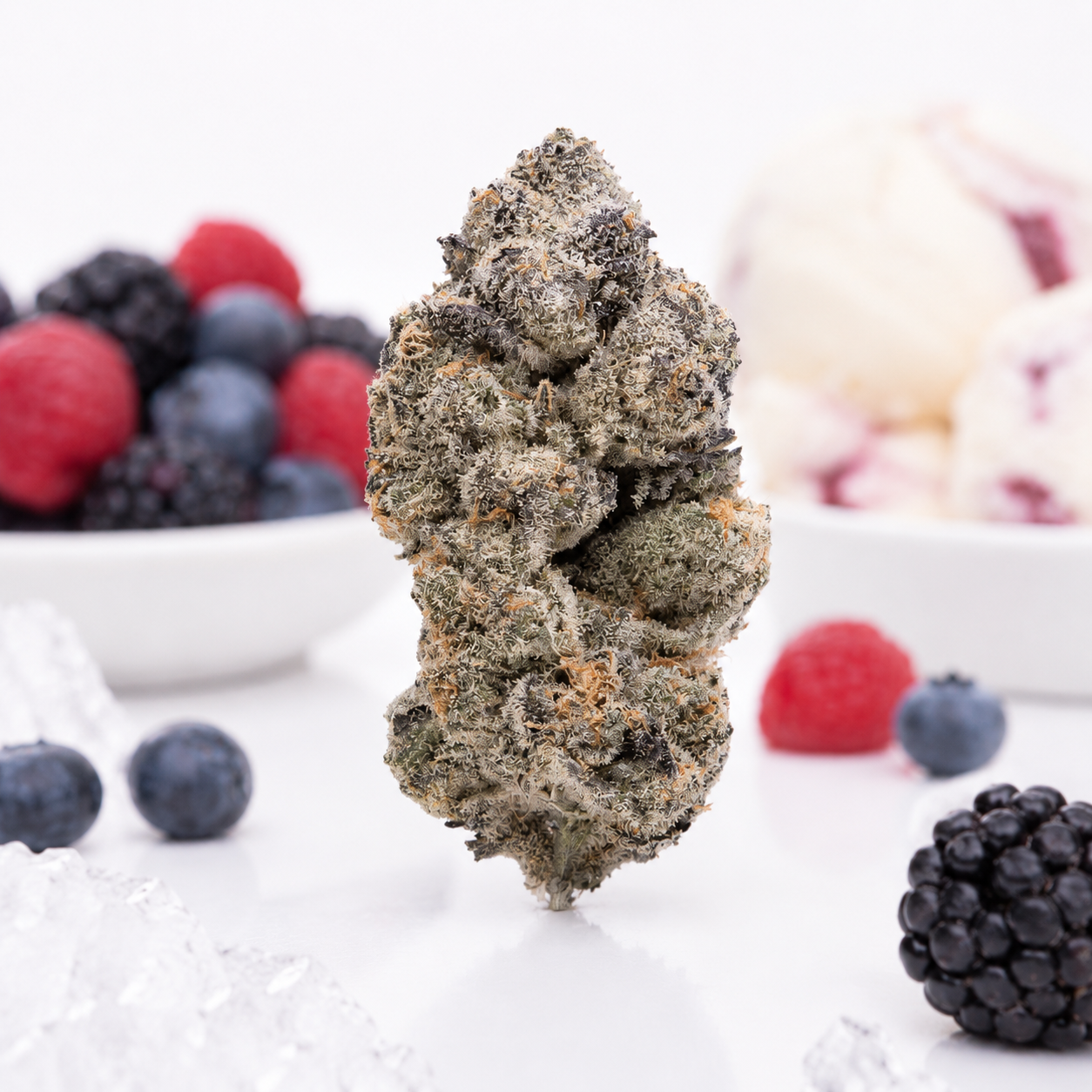 slouu 22/1 BAG CA Berry Arctic Gelato